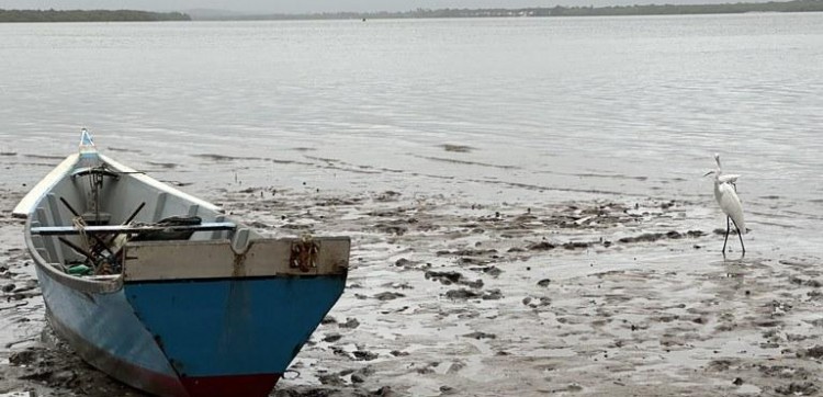 Início da Piracema restringe a pesca em todo o país