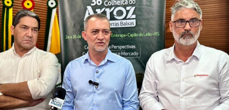 Conab anuncia mais R$ 73,6 milhões para apoiar produtores de arroz