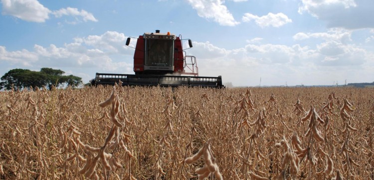 Produção de grãos pode chegar a 358,6 milhões de toneladas no Brasil