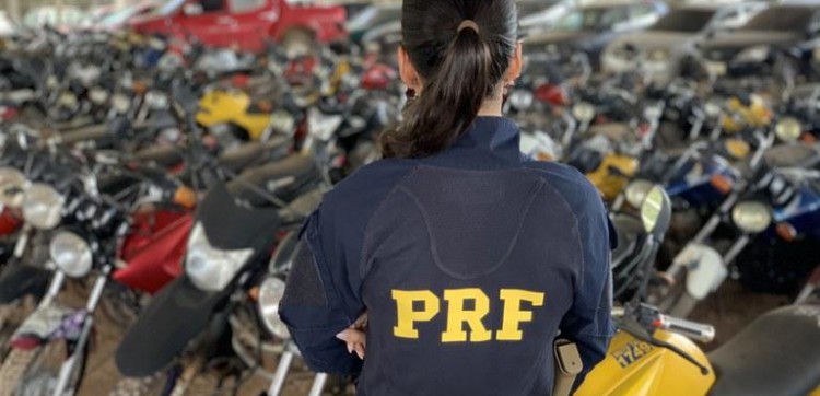 PRF realiza leilão com 647 veículos apreendidos em Santa Catarina