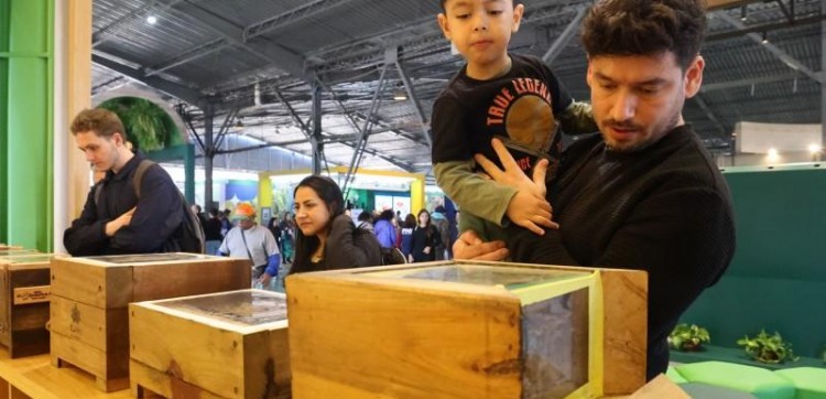 Abelhas nativas do RS despertam a curiosidade do público na Expointer