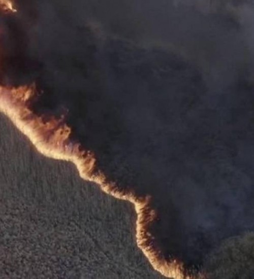 CHERNOBYL: Incêndio se aproxima de reator da usina nuclear abandonada