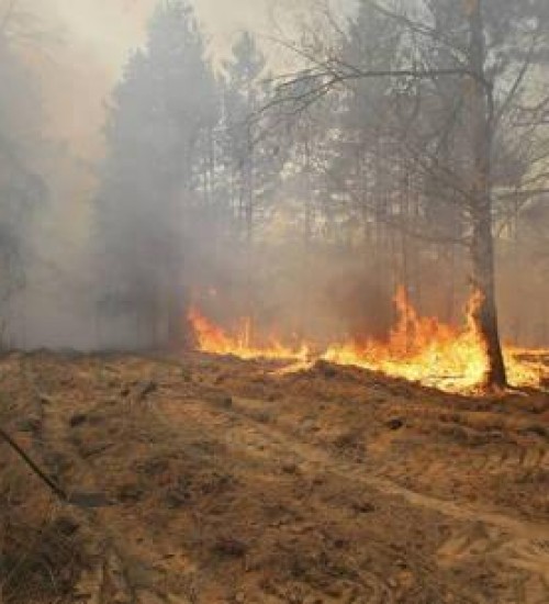 Incêndio em Chernobyl não aumentou radiação, diz AIEA.