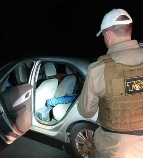 Polícia apreende mais de 300 kg de maconha em Chapecó.