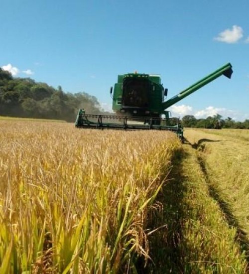 Seca provocou quebra de 28,7% na safra de grãos de verão, aponta Emater.