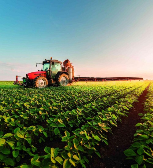 Governo libera R$ 220 milhões para suprir agricultores familiares.