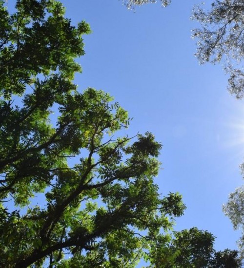 Agosto começa com temperaturas em elevação e tempo seco.