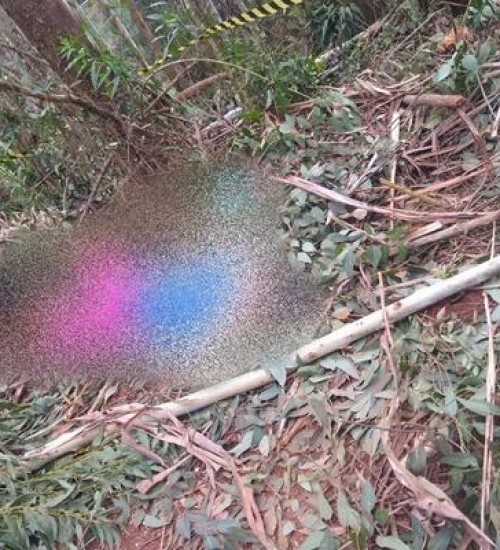 Mulher morre após ser atingida por eucalipto no interior de Jacutinga.