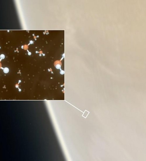 Astrônomos encontram gás que pode apontar indícios de vida em Vênus.