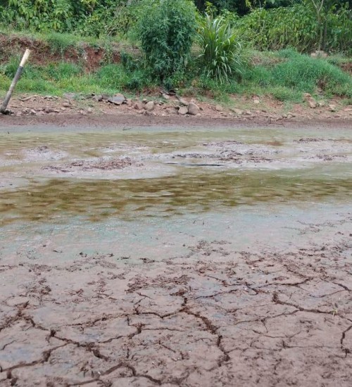 Ações emergências de enfrentamento a estiagem em Itatiba do Sul.