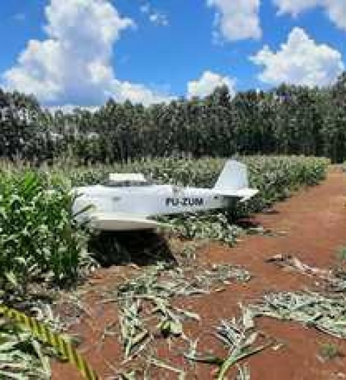 Avião faz pouso forçado em lavoura de milho em Concórdia (SC).