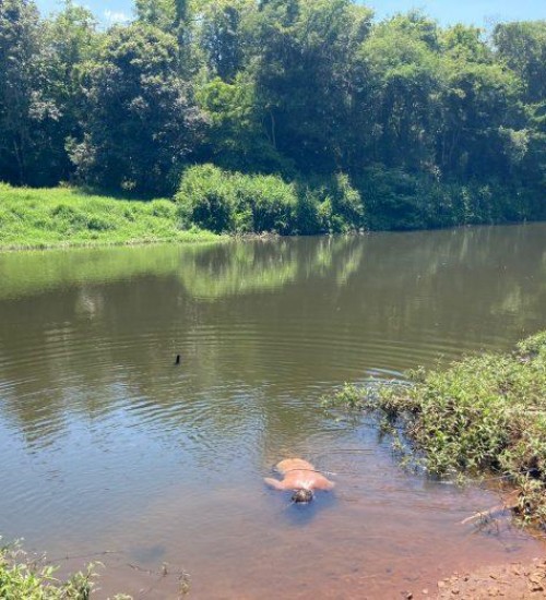 Corpo de homem é encontrado boiando no lago da barragem em Aratiba.