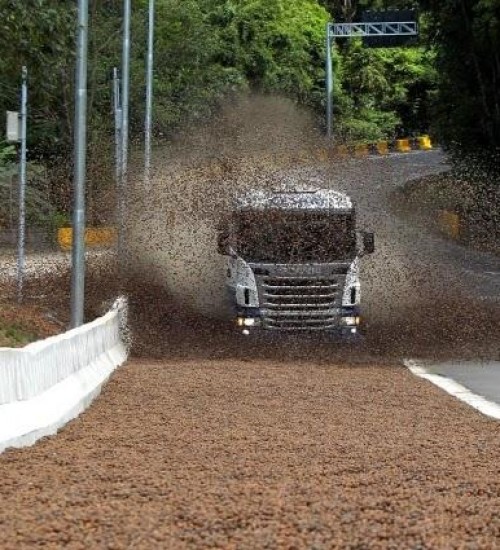 Chapecó anuncia projeto da caixa de brita no Goio-Ên.