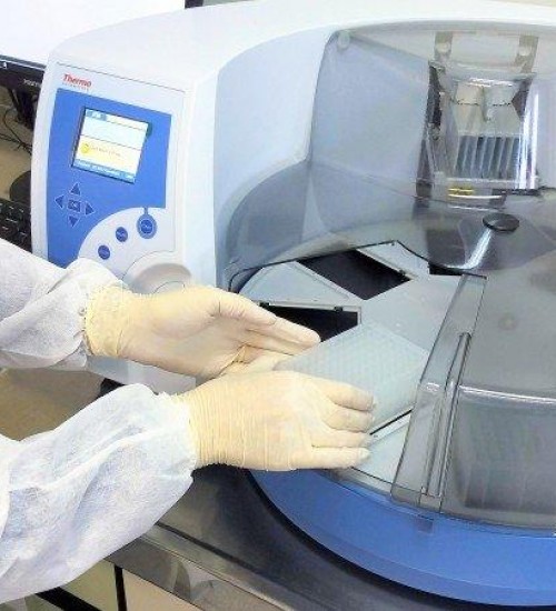RS fortalece testagem e mapeamento de casos de varíola dos macacos.