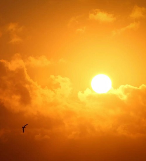 Calor volta a superar os 40°C e sequência de dias insuportáveis seguirá.