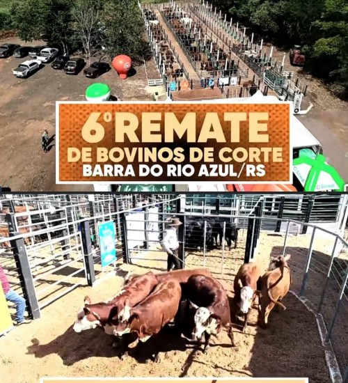 Vem aí o 6° Remate de Bovinos de Corte de Barra do Rio Azul!