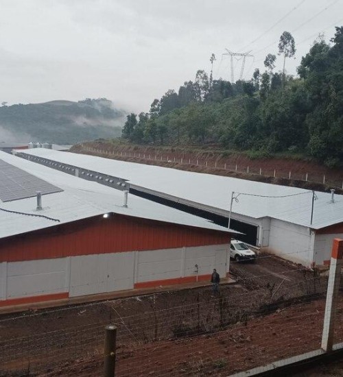 Novos aviários ampliam capacidade produtiva de Aratiba