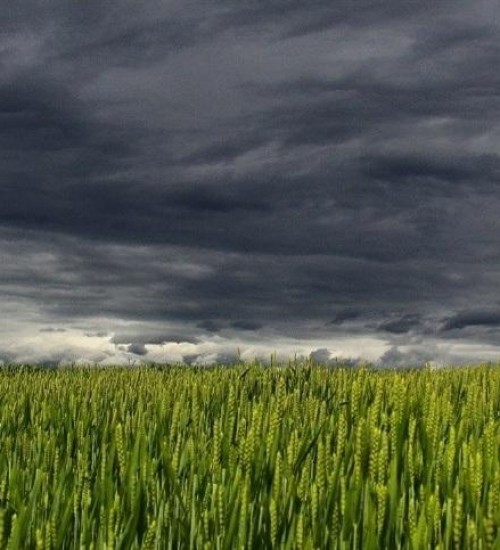RS pode registrar até 300 mm de chuva em três dias, alerta Defesa Civil