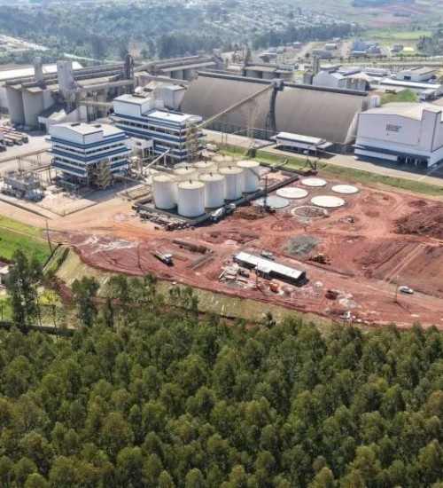 Cooperalfa inicia construção de usina de biodiesel