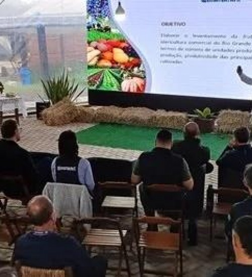 RS produz mais de 4,57 milhões de toneladas de frutas e hortaliças