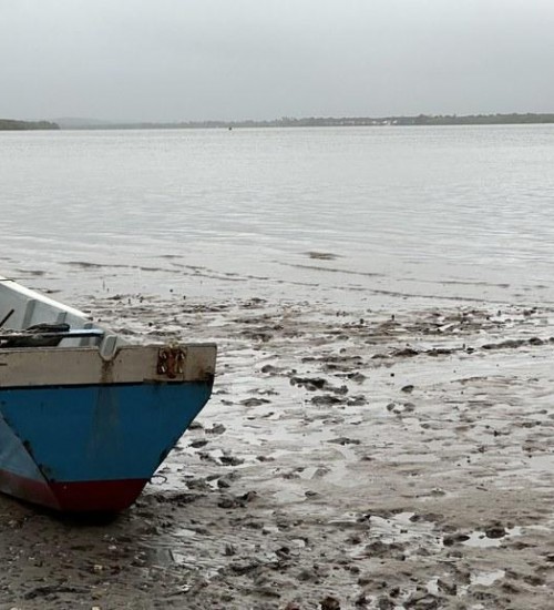 Início da Piracema restringe a pesca em todo o país