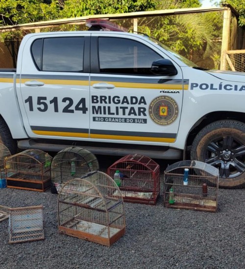 Prisão por posse de arma e animais em cativeiro no interior de Aratiba