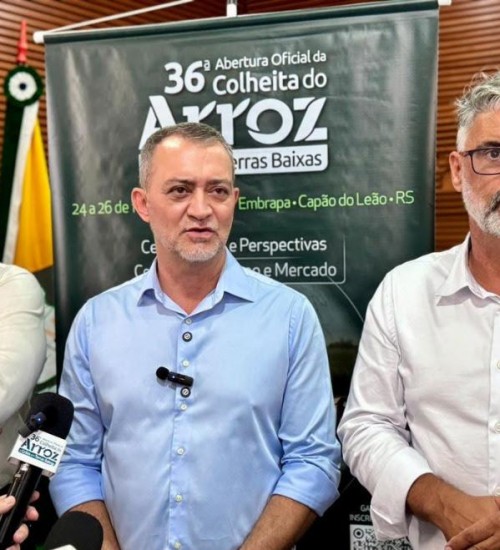 Conab anuncia mais R$ 73,6 milhões para apoiar produtores de arroz