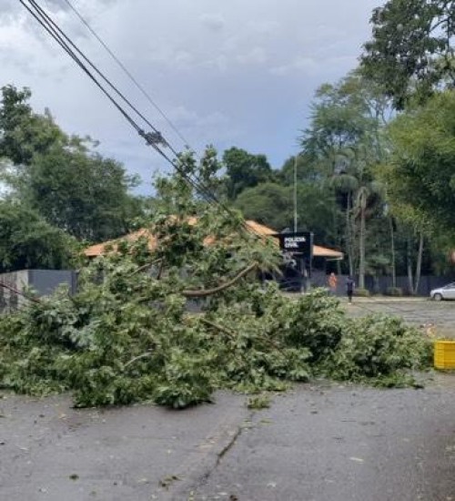 Temporal atinge Itá SC, no final da tarde de quinta-feira (19)
