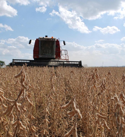 Produção de grãos pode chegar a 358,6 milhões de toneladas no Brasil