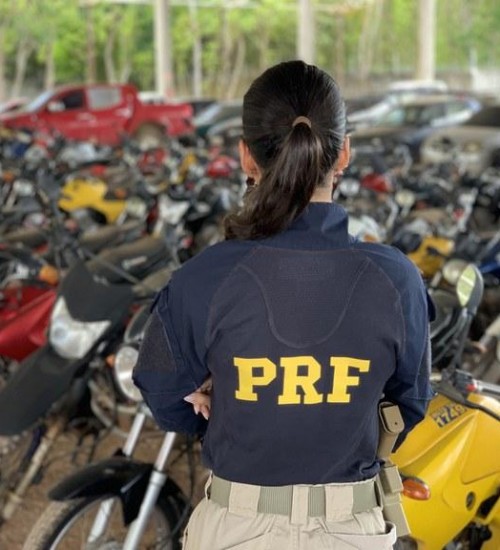 PRF realiza leilão com 647 veículos apreendidos em Santa Catarina