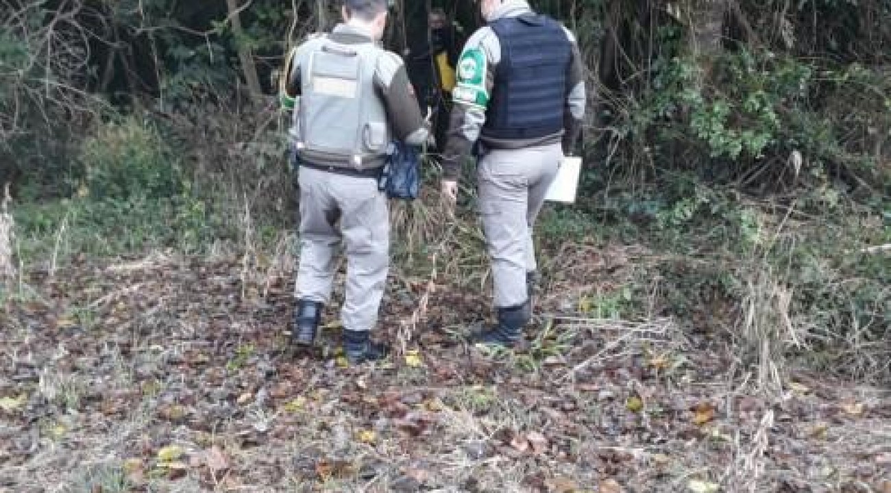 Cachorro é encontrado enforcado no interior de Gaurama.