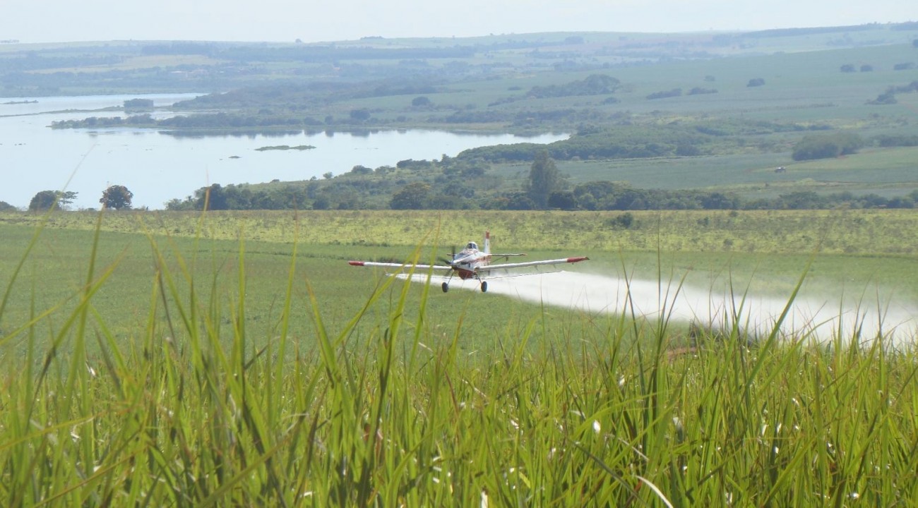 Aviação agrícola do Brasil se mobiliza para combater gafanhotos.