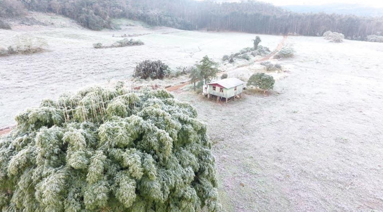 Inverno começa neste sábado (20).