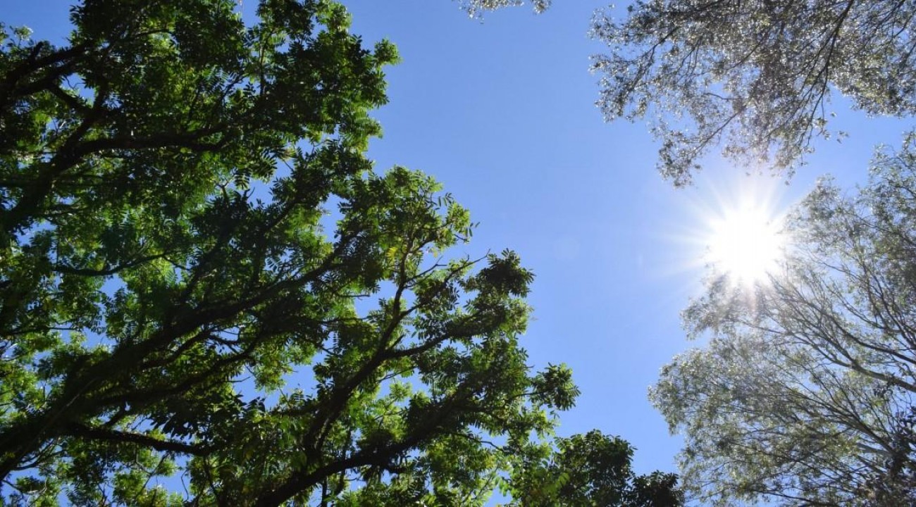 Agosto começa com temperaturas em elevação e tempo seco.