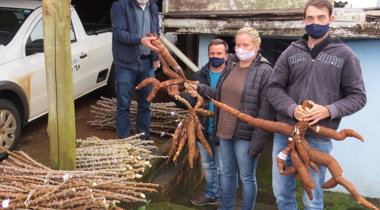 Cresce número de agroindústrias na região do Alto Uruguai.