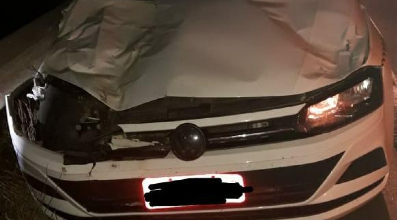 Motorista fica ferido após acidente com cavalo no Oeste de SC.