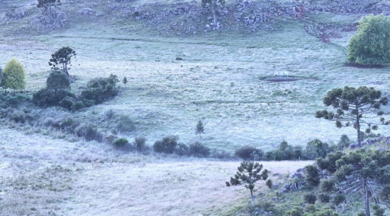 Geada muda o amanhecer deste domingo na Serra Catarinense.