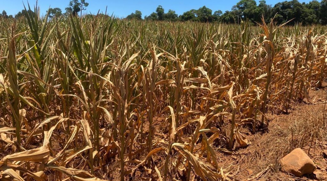 Itatiba do Sul decreta situação de emergência.