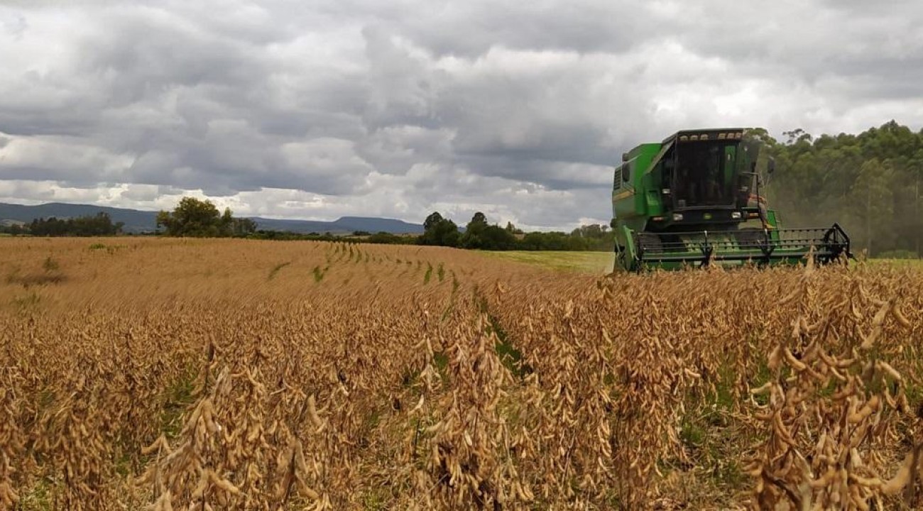 Colheita da soja é retomada e já alcança 55% da área cultivada.