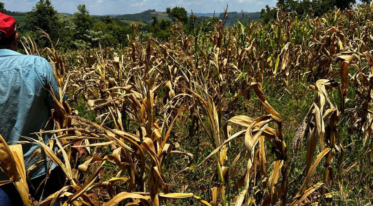 Itatiba do Sul decreta situação de emergência.