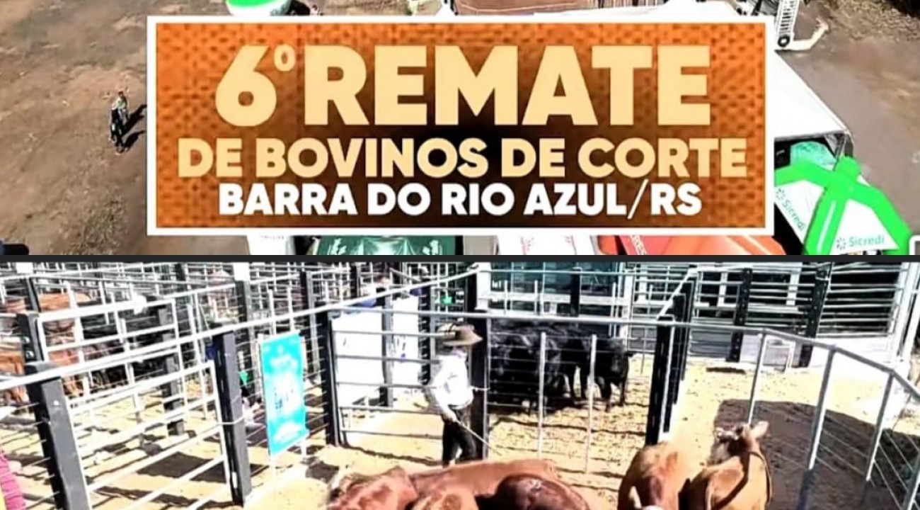 Vem aí o 6° Remate de Bovinos de Corte de Barra do Rio Azul!
