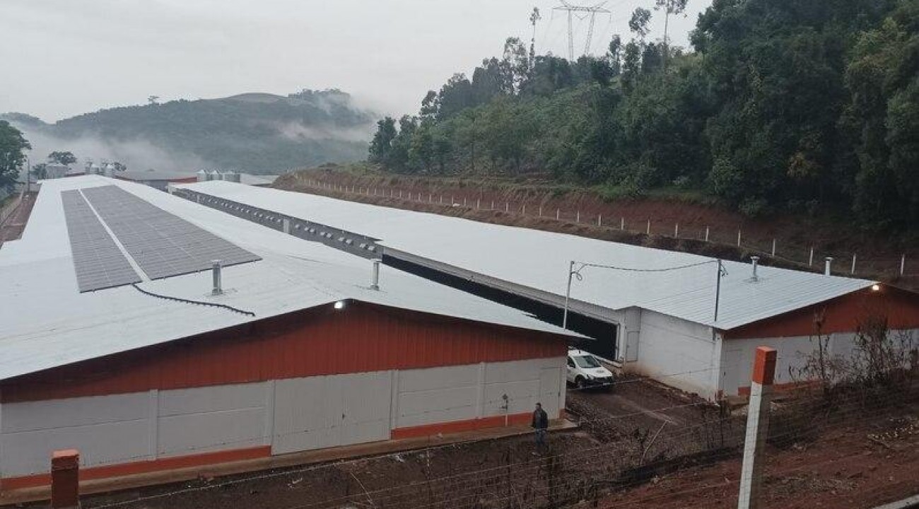 Novos aviários ampliam capacidade produtiva de Aratiba