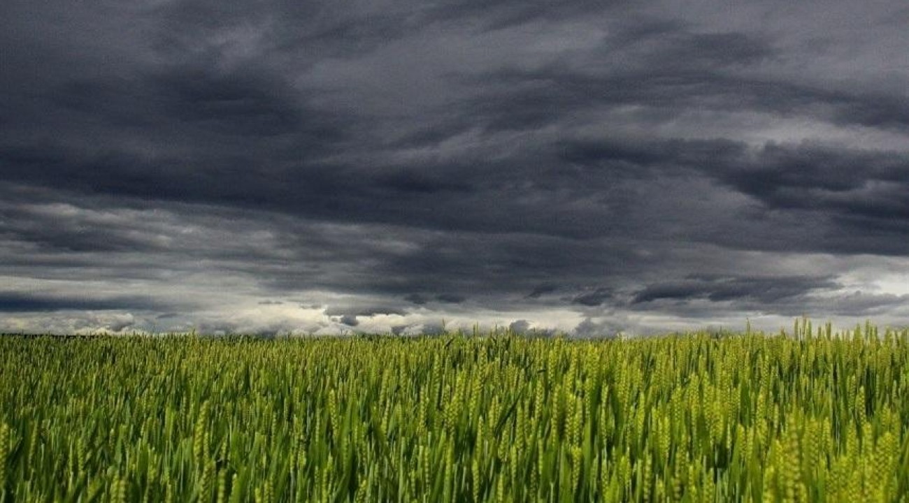 RS pode registrar até 300 mm de chuva em três dias, alerta Defesa Civil