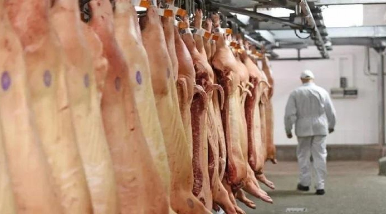 Setor de carne suína nacional bate recorde de exportações