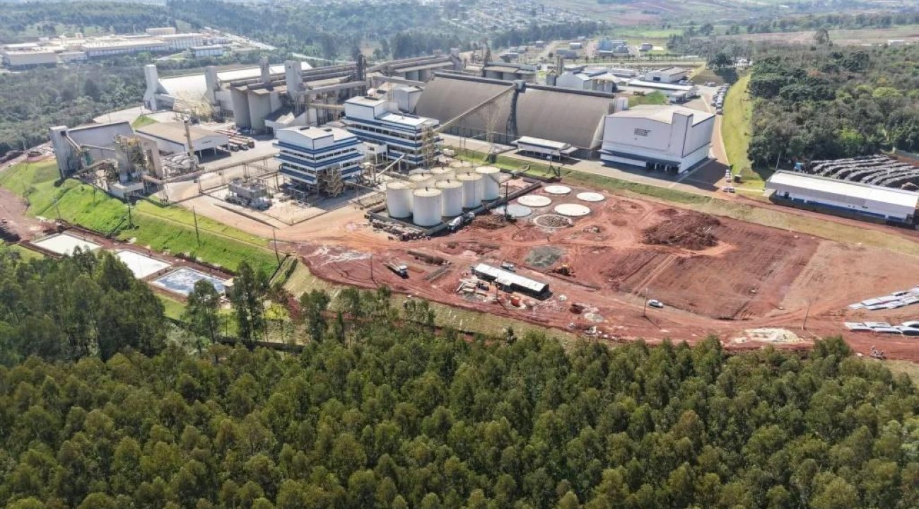 Cooperalfa inicia construção de usina de biodiesel