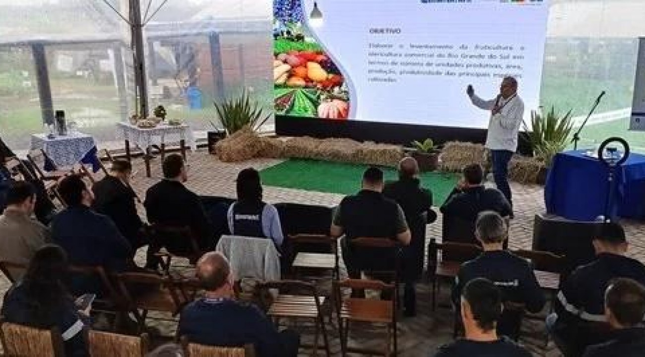 RS produz mais de 4,57 milhões de toneladas de frutas e hortaliças