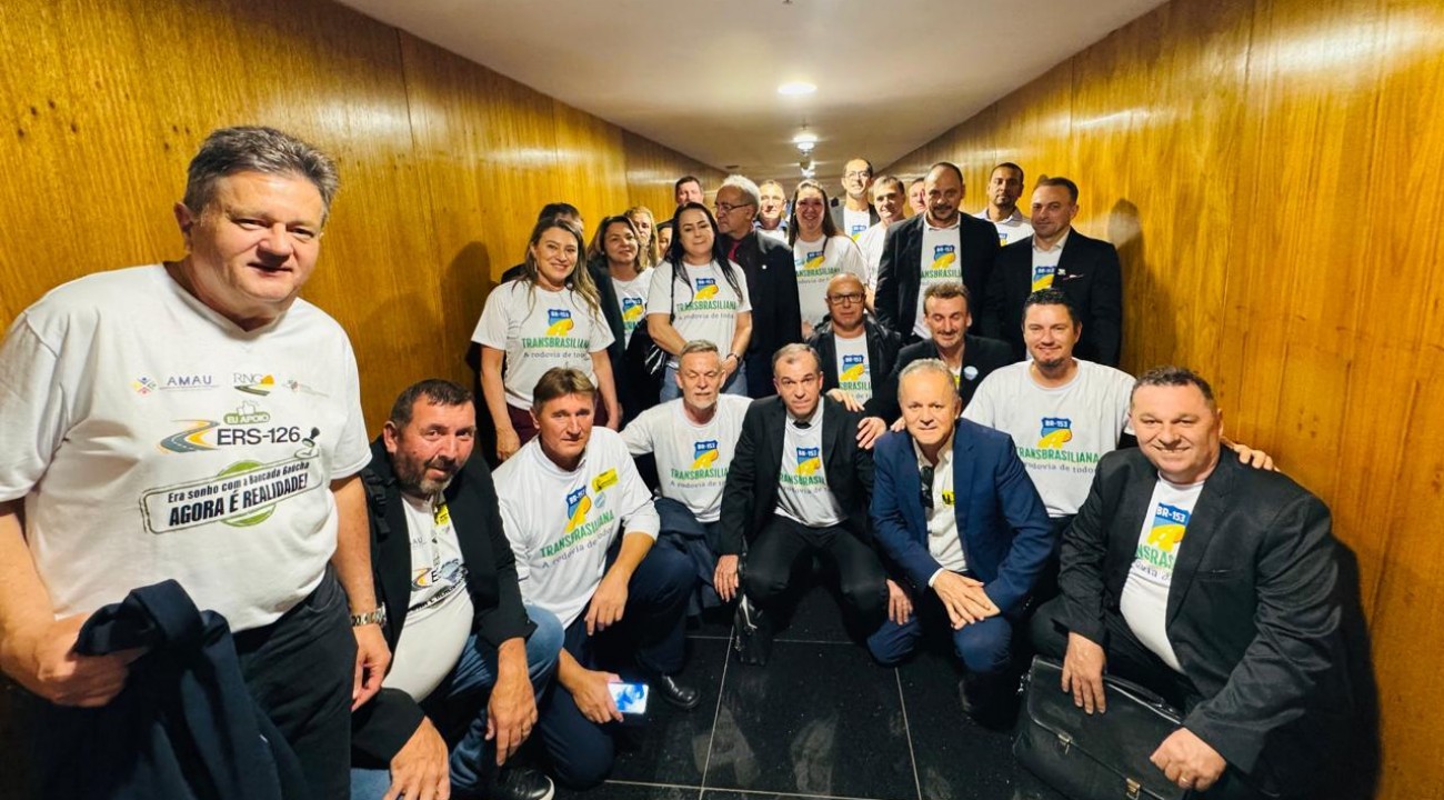 Asfaltamento da Transbrasiliana em debate na capital Federal