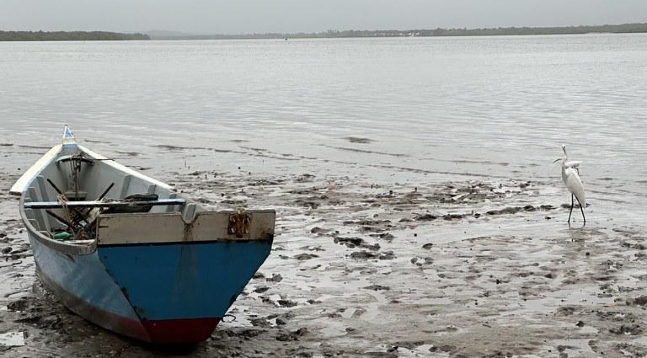 Início da Piracema restringe a pesca em todo o país