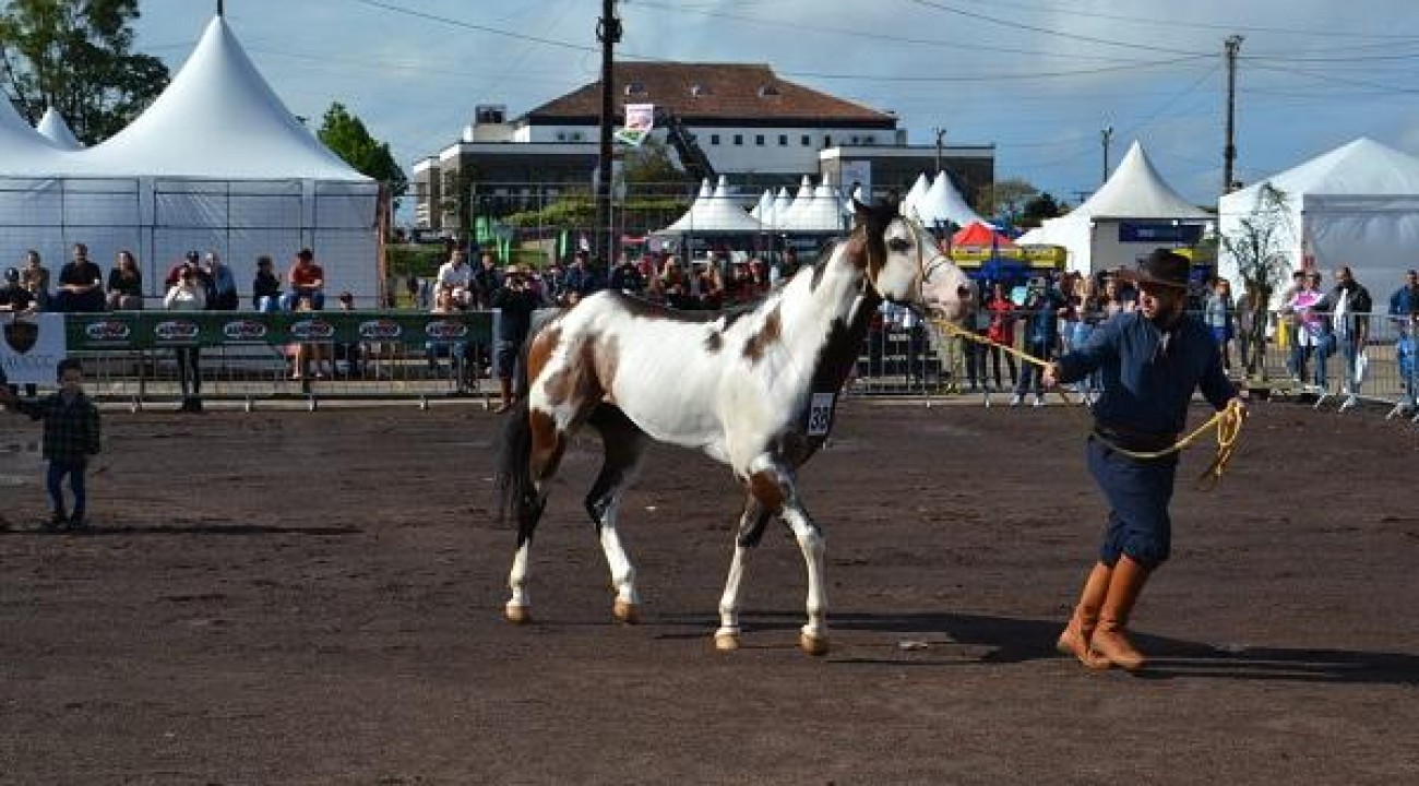 Preparativos finais sendo organizados para a Expo Erechim 2025