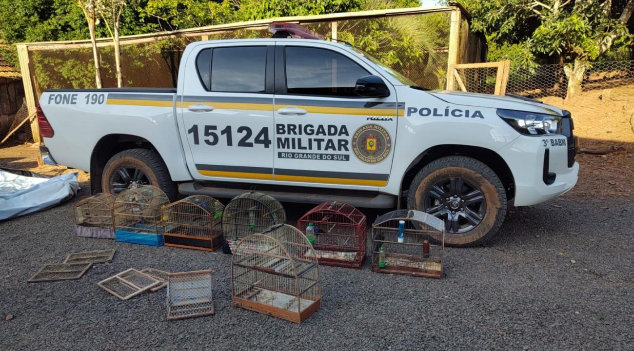 Prisão por posse de arma e animais em cativeiro no interior de Aratiba